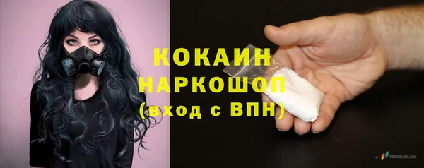 сатива Алексин