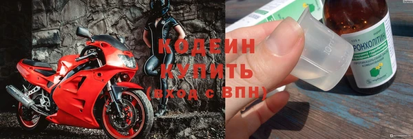 сатива Ельня