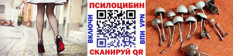Псилоцибиновые грибы мицелий  где можно купить наркотик  Чухлома 